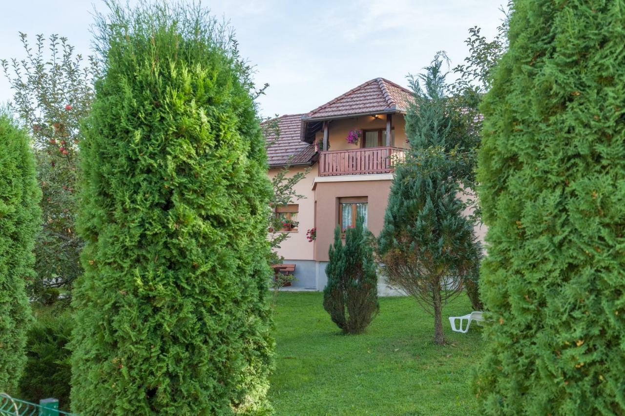 Apartment Ivan & Iva Gornji Vaganac Dış mekan fotoğraf